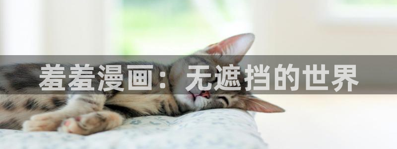 沙滩女神漫画